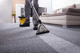 Why Carpet Cleaners in Prince George Are Your Best Bet for Spotless Floors
