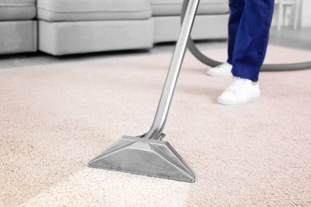 Why Is Cat Pee Harder to Clean Than Dog Pee?
