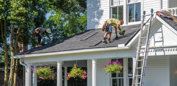 What Are The Best Roof Maintenance Practices For Homeowners In  Eastwood?