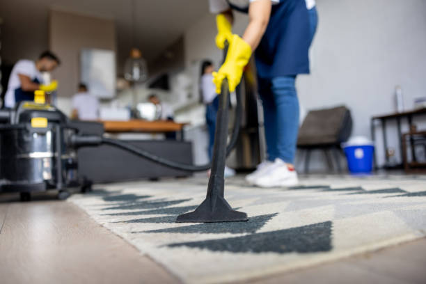 Easy Carpet Cleaning Tips for a Stress-Free Home in Prince George