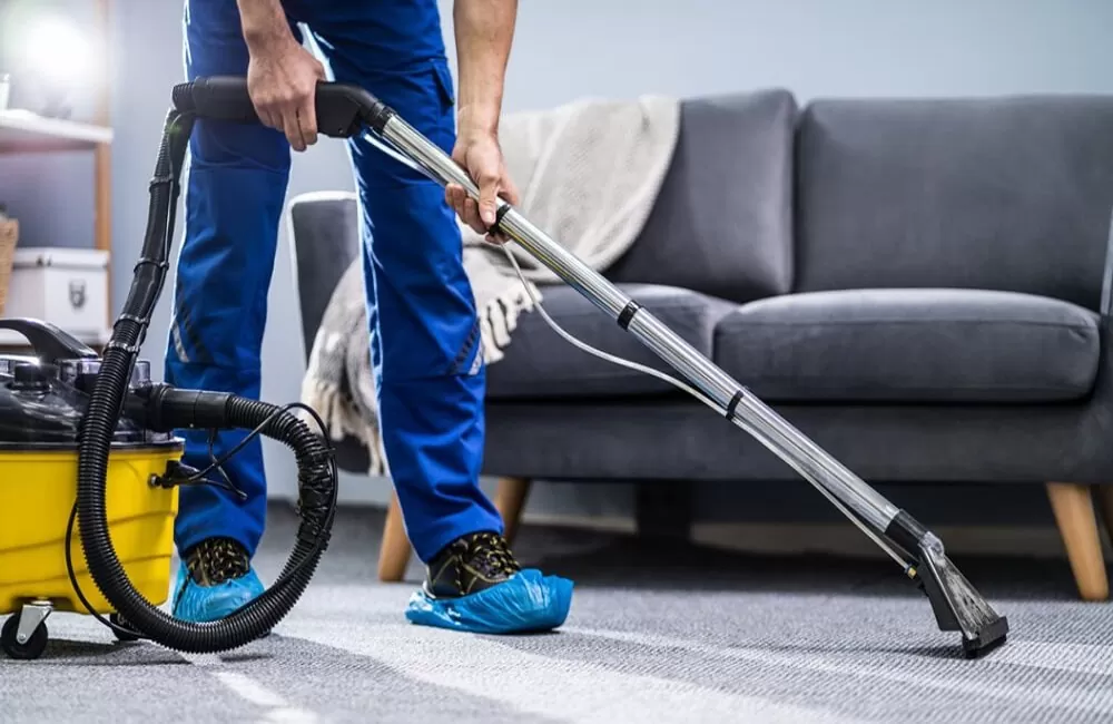 How Do Professional Carpet Cleaners in PG Remove Deep-Set Dirt That Regular Vacuuming Misses