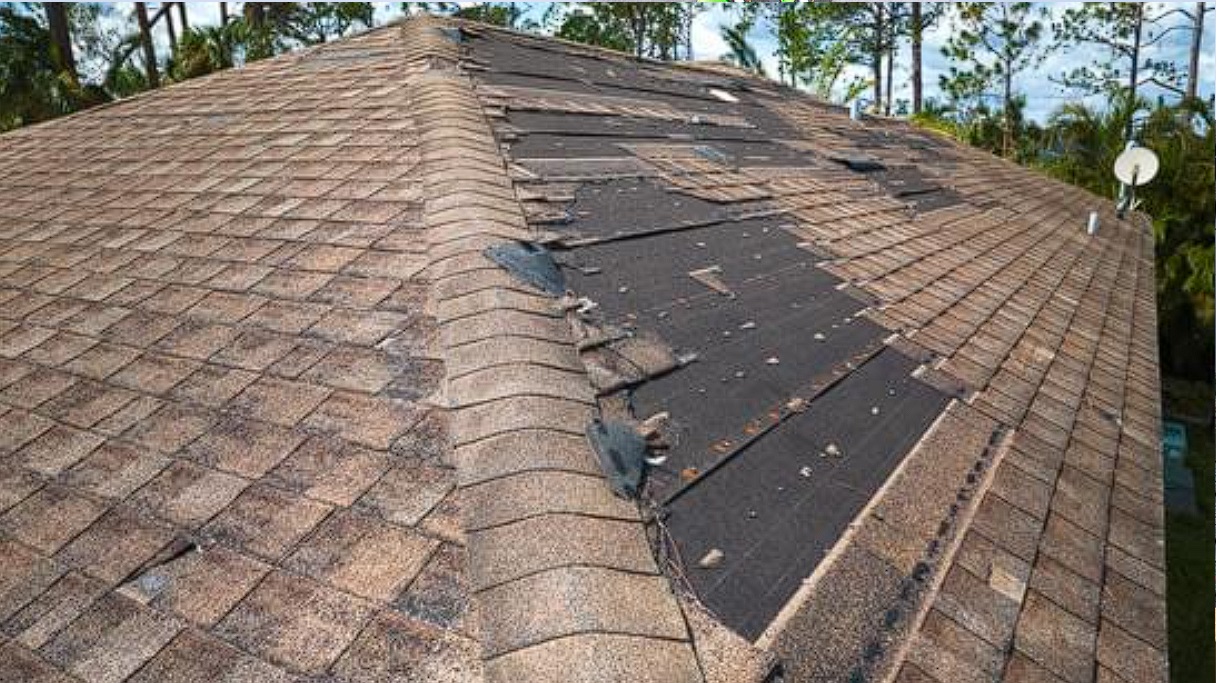 How Does Residential Shingle Roof Repair Prince George Help Protect Homes from Long-Term Water Damage?